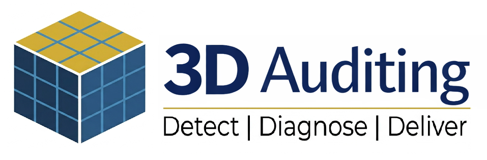 3D Auditing Logo